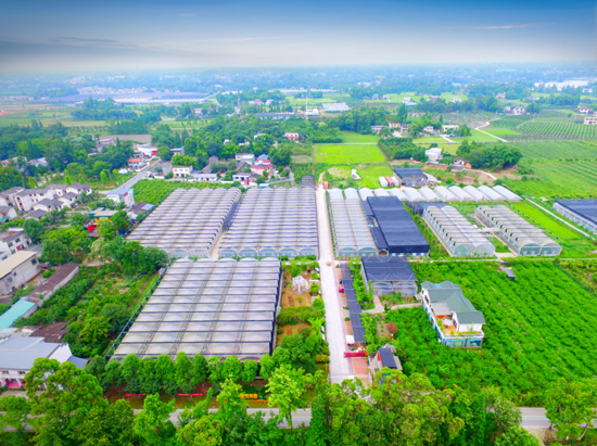 農業(yè)園區(qū)550